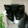 Javier's profile picture