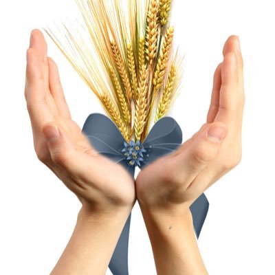 spikealkher's profile picture