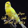 Zahira profil fotoğrafı