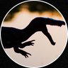Tom Jurassic's profile picture