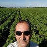 Profilbild von 📈LittleBigFarm🇫🇷