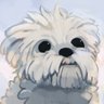 Anokolisa's profile picture