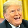 Soup Brain Trumpy Trumpy (parody)'s profile picture