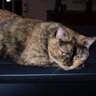 Фото профиля funnybone