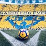 Фото профиля بندر اوتيبي 💛💙⏫