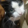 けん's profile picture
