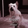 Si Happy Pouvait Parler's profile picture