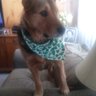 Laura S.'s profile picture