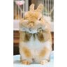 氣噗噗 ⁼̴̀д⁼̴́'s profile picture