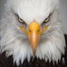 Фото профиля BlackEagle07