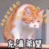 Фото профиля 老光棍子