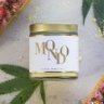 Mondo 的头像