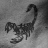 Scorpion's profile picture