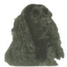 MajaDog's profile picture