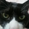 yukopon's profile picture