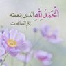 Фото профиля gamal elsherbiny