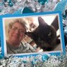 Kym Wyllie profil fotoğrafı