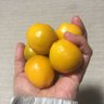 いくぽん 的头像