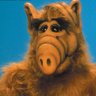 Profilbild von RobN