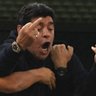 Fidelista 的头像