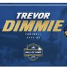 Profilbild von Trevor Dimmie