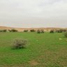 صالح 的头像