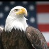 Фото профиля ThomasAmerica