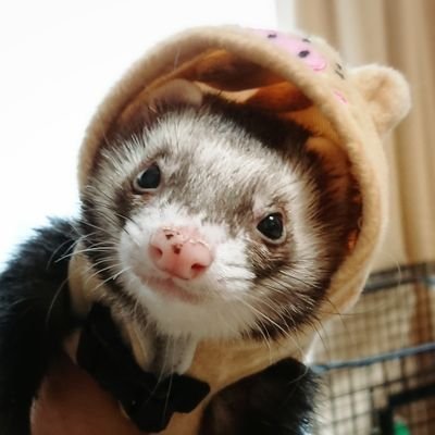 fffandfff's profile picture