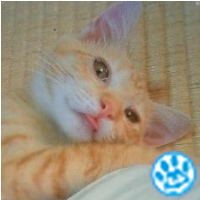 kenzi(sirius)'s profile picture