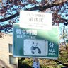 👢🍼おシャンシャン🐼🍼🌳🌳🌳 的头像