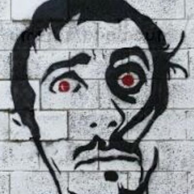 Tomer Appelbaum's profile picture