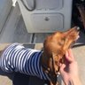 Крестная корабля 的头像