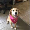 Izzy's profile picture