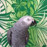 ドラえもん profil fotoğrafı