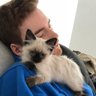 Profilbild von Rich