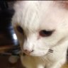 ▫️けいこ▪️ profil fotoğrafı