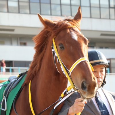 にーな🐎🍀's profile picture