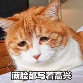 madao37th's profile picture