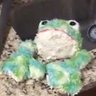 Profilbild von 🔻Boiling🍉Frog🔻