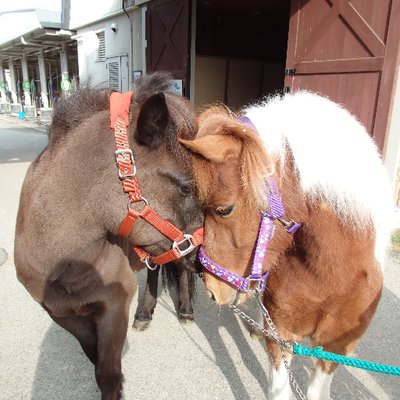 三木ホースランドパーク's profile picture