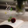 الحكايہَﻫ's profile picture