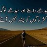 سب سے پہلے پاکستان 的头像