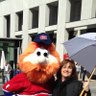 Dominique Racanelli's profile picture