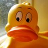 DonaldCrump's profile picture