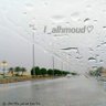 l _ alhmoud's profile picture