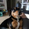 CakeFit's profile picture