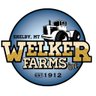 Welker Farms 的头像