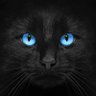 Фото профиля Rich Williams