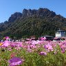 ノアじい 的头像