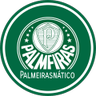 Palmeirasnático ⓟ's profile picture
